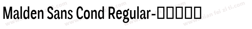 Malden Sans Cond Regular字体转换